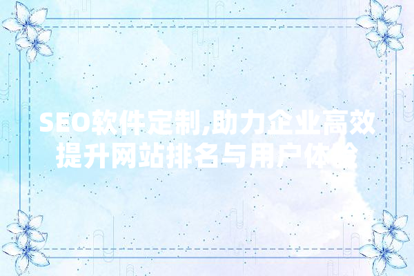 SEO软件定制,助力企业高效提升网站排名与用户体验
