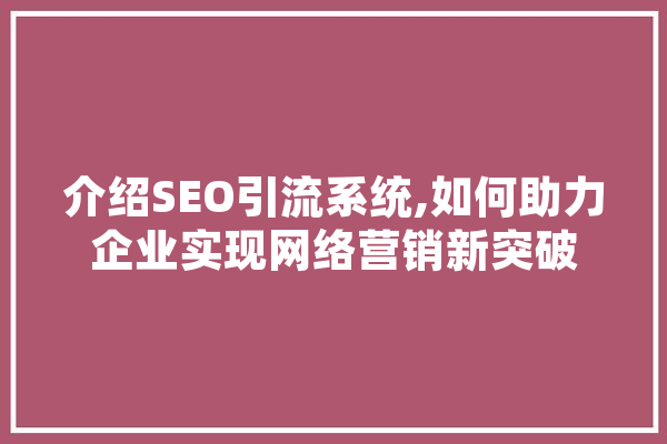 介绍SEO引流系统,如何助力企业实现网络营销新突破