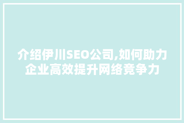 介绍伊川SEO公司,如何助力企业高效提升网络竞争力