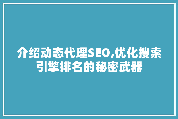 介绍动态代理SEO,优化搜索引擎排名的秘密武器