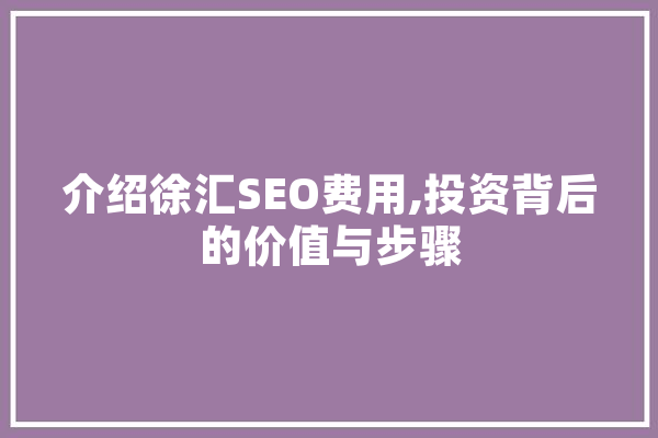 介绍徐汇SEO费用,投资背后的价值与步骤