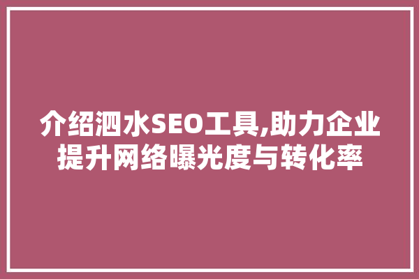 介绍泗水SEO工具,助力企业提升网络曝光度与转化率