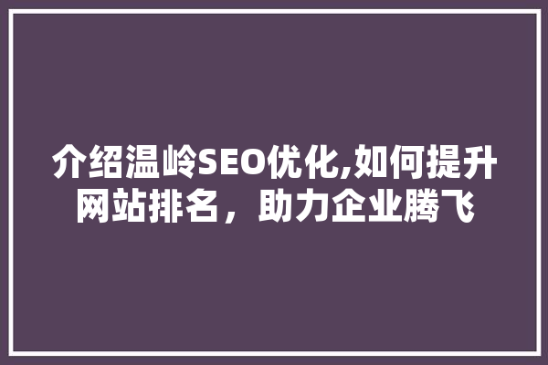 介绍温岭SEO优化,如何提升网站排名，助力企业腾飞