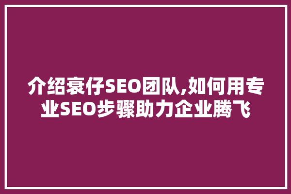 介绍衰仔SEO团队,如何用专业SEO步骤助力企业腾飞