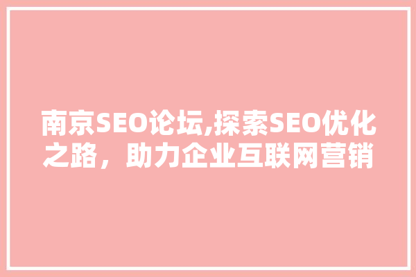 南京SEO论坛,探索SEO优化之路，助力企业互联网营销