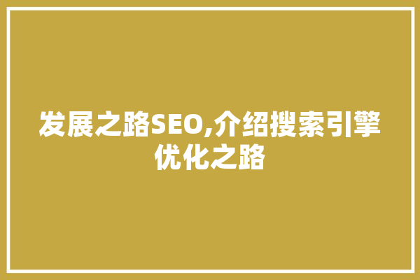 发展之路SEO,介绍搜索引擎优化之路