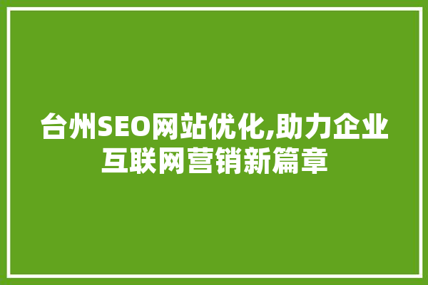 台州SEO网站优化,助力企业互联网营销新篇章
