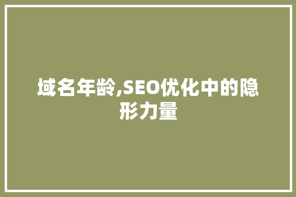 域名年龄,SEO优化中的隐形力量