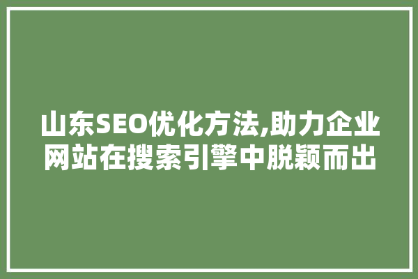 山东SEO优化方法,助力企业网站在搜索引擎中脱颖而出