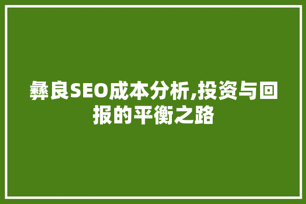 彝良SEO成本分析,投资与回报的平衡之路