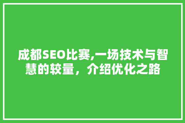 成都SEO比赛,一场技术与智慧的较量，介绍优化之路