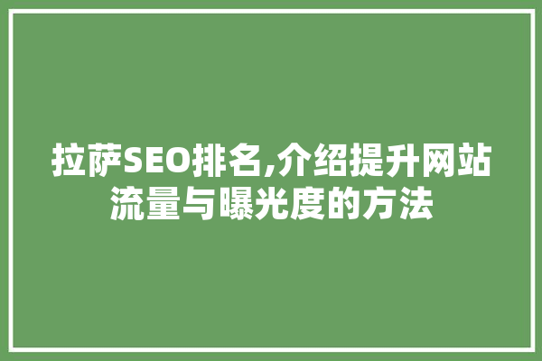 拉萨SEO排名,介绍提升网站流量与曝光度的方法