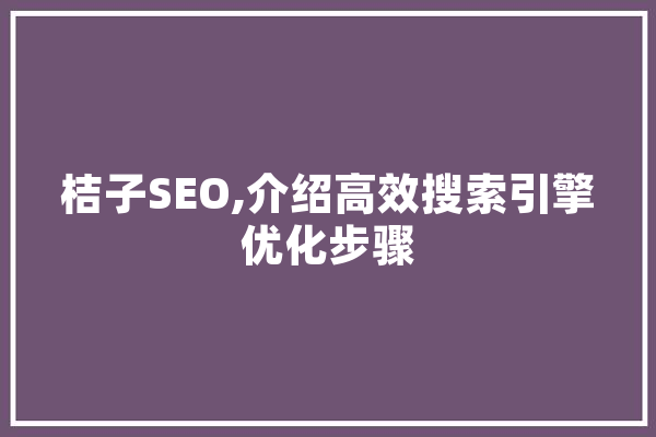 桔子SEO,介绍高效搜索引擎优化步骤