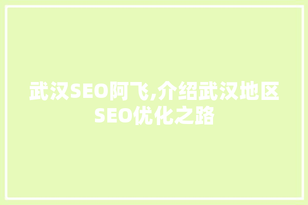 武汉SEO阿飞,介绍武汉地区SEO优化之路 计算机
