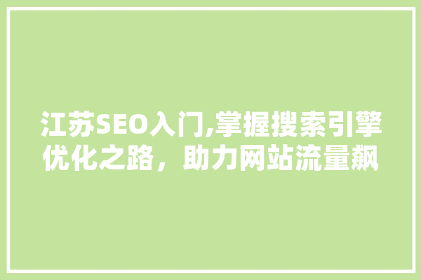 江苏SEO入门,掌握搜索引擎优化之路，助力网站流量飙升