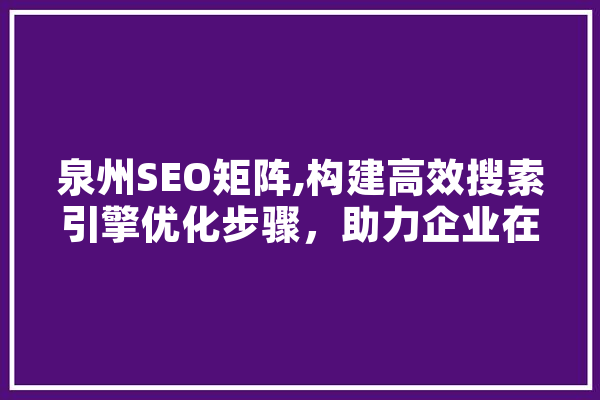 泉州SEO矩阵,构建高效搜索引擎优化步骤，助力企业在线腾飞
