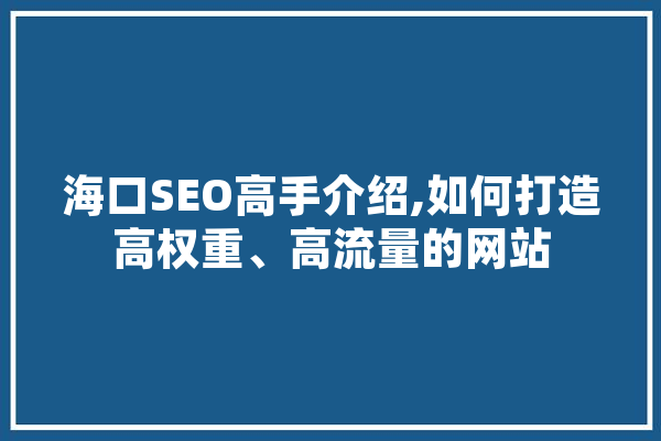 海口SEO高手介绍,如何打造高权重、高流量的网站