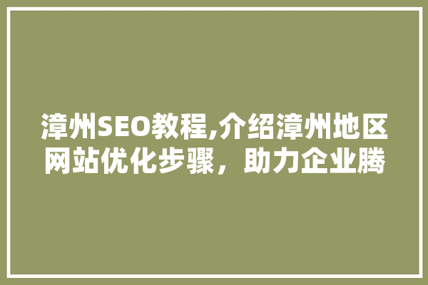 漳州SEO教程,介绍漳州地区网站优化步骤，助力企业腾飞