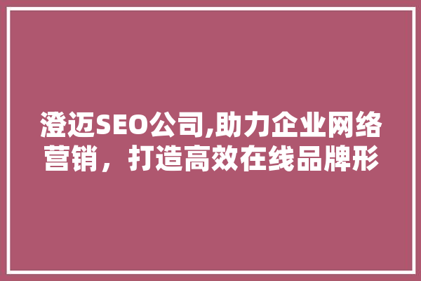 澄迈SEO公司,助力企业网络营销，打造高效在线品牌形象