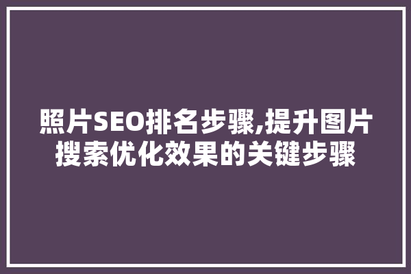 照片SEO排名步骤,提升图片搜索优化效果的关键步骤