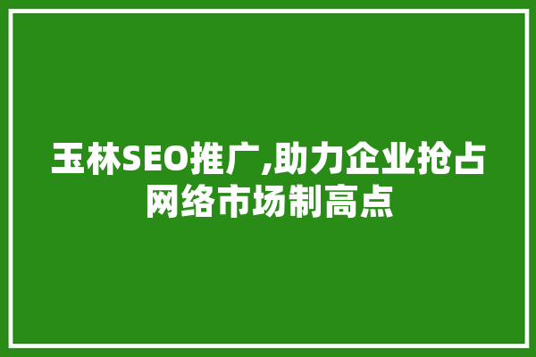 玉林SEO推广,助力企业抢占网络市场制高点 云服务