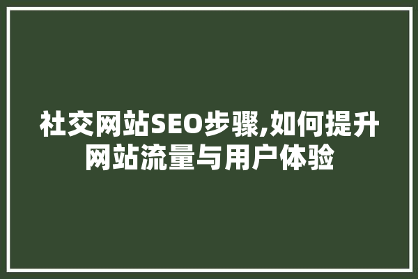 社交网站SEO步骤,如何提升网站流量与用户体验 智能写作