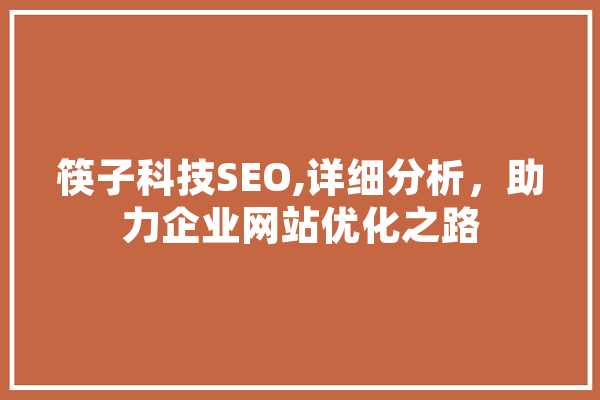 筷子科技SEO,详细分析，助力企业网站优化之路