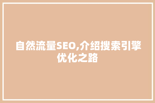 自然流量SEO,介绍搜索引擎优化之路 智能问答