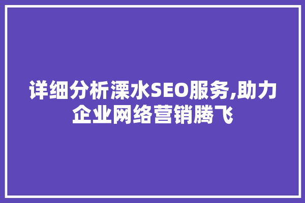 详细分析溧水SEO服务,助力企业网络营销腾飞