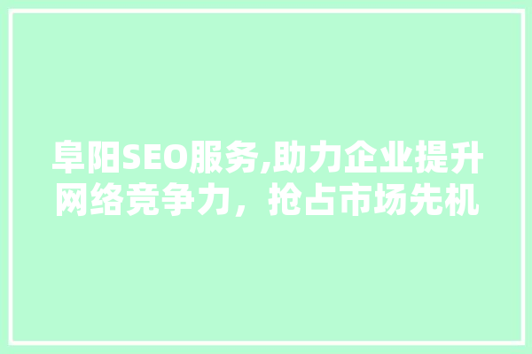 阜阳SEO服务,助力企业提升网络竞争力，抢占市场先机