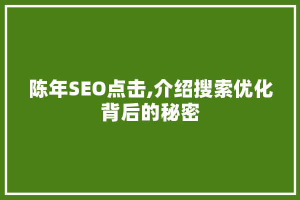 陈年SEO点击,介绍搜索优化背后的秘密