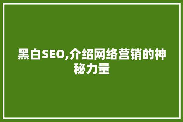 黑白SEO,介绍网络营销的神秘力量