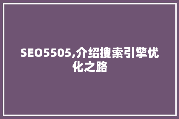 SEO5505,介绍搜索引擎优化之路