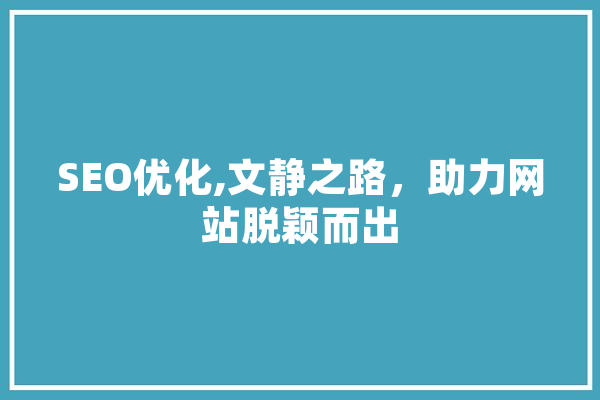 SEO优化,文静之路，助力网站脱颖而出