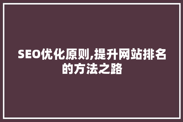 SEO优化原则,提升网站排名的方法之路