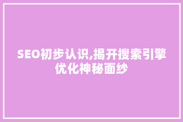 SEO初步认识,揭开搜索引擎优化神秘面纱