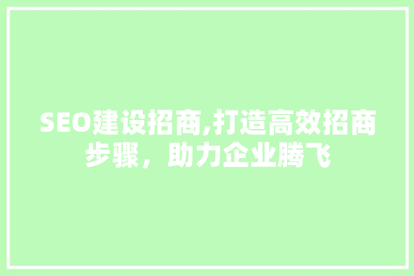 SEO建设招商,打造高效招商步骤，助力企业腾飞