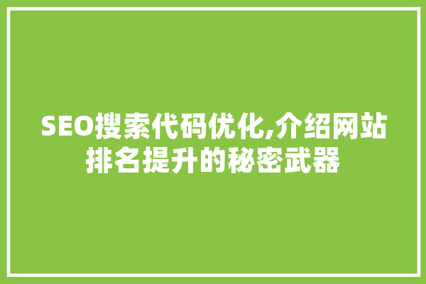 SEO搜索代码优化,介绍网站排名提升的秘密武器