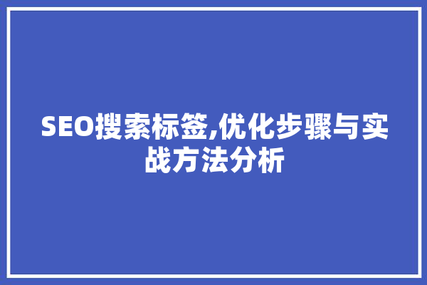 SEO搜索标签,优化步骤与实战方法分析