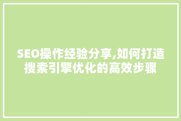 SEO操作经验分享,如何打造搜索引擎优化的高效步骤