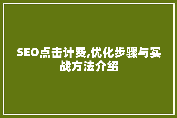 SEO点击计费,优化步骤与实战方法介绍