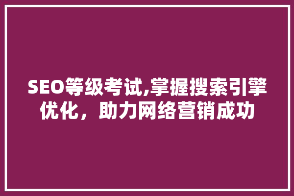 SEO等级考试,掌握搜索引擎优化，助力网络营销成功