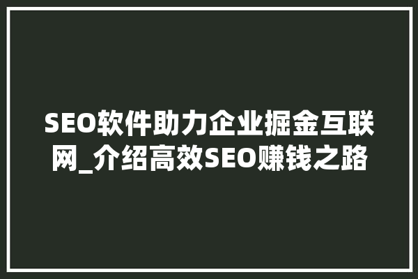 SEO软件助力企业掘金互联网_介绍高效SEO赚钱之路