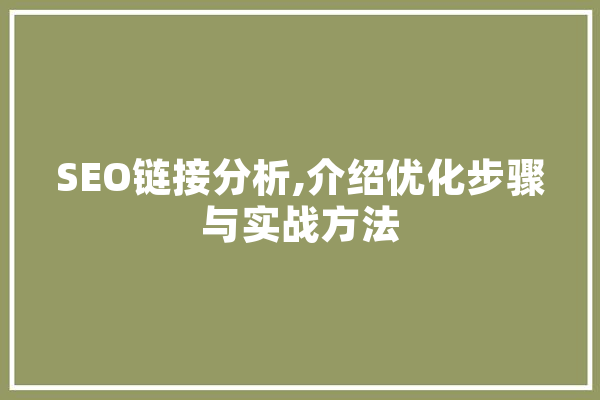 SEO链接分析,介绍优化步骤与实战方法