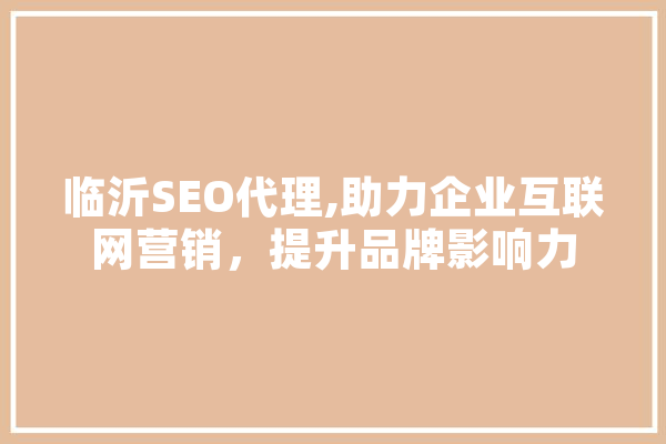 临沂SEO代理,助力企业互联网营销，提升品牌影响力