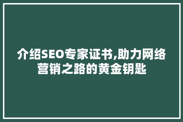 介绍SEO专家证书,助力网络营销之路的黄金钥匙