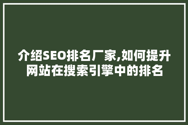 介绍SEO排名厂家,如何提升网站在搜索引擎中的排名