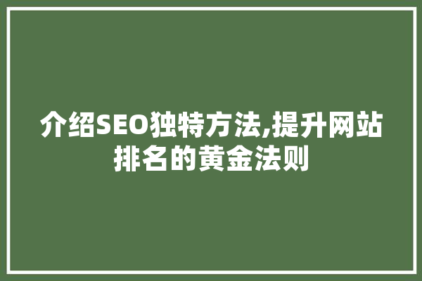介绍SEO独特方法,提升网站排名的黄金法则