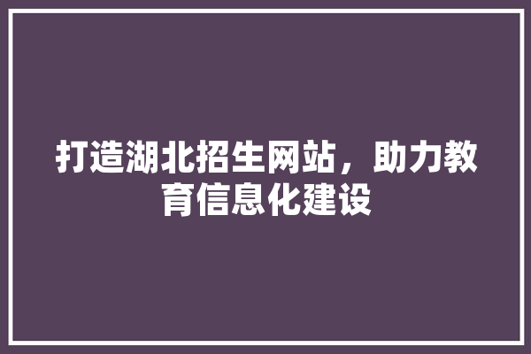 打造湖北招生网站，助力教育信息化建设