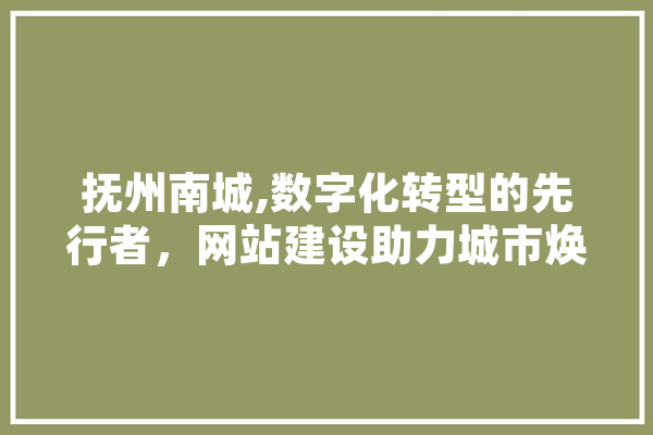 抚州南城,数字化转型的先行者，网站建设助力城市焕发新活力